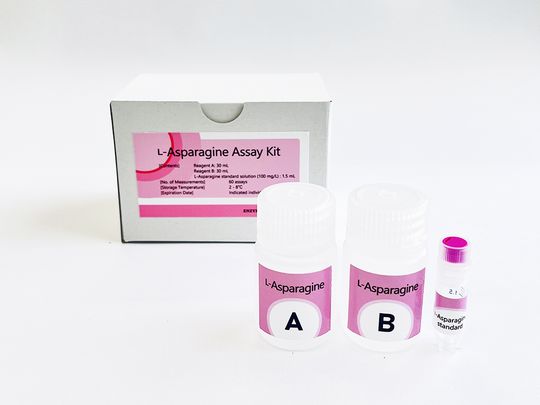 L-Asparagine Assay Kit