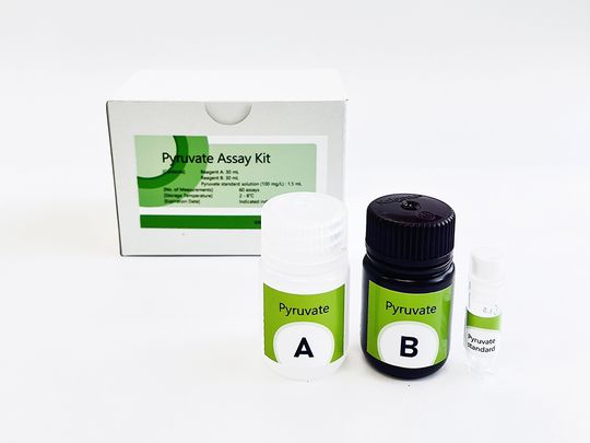 Pyruvate Assay Kit